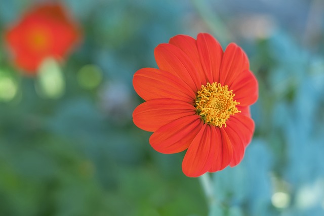 土足协官方：涉嫌违规投注的多名土耳其国脚已被移出各级国家队大名单